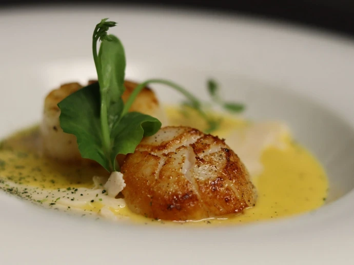 Raviole ouverte de homard et fèves des marais, bisque de homard, beurre blanc émulsionné, pousses de pea.